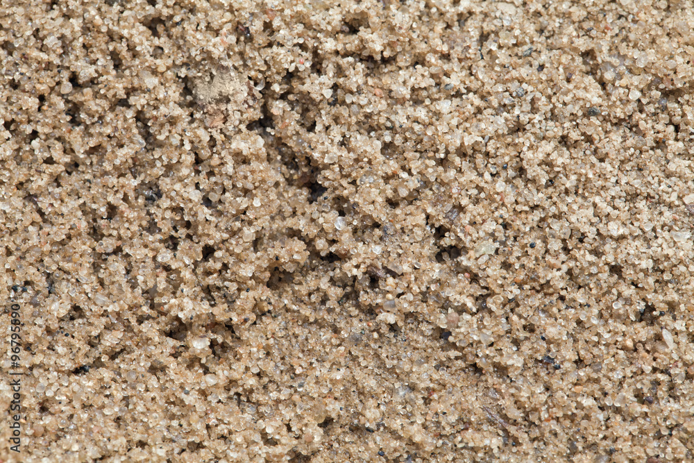 Wet sand texture Wet sand texture