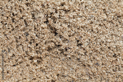 Wet sand texture