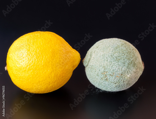 Fotografie Moldy and Healthy Lemons