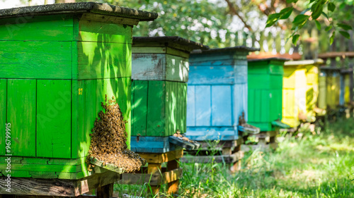 Wooden beehives with bees in countryside