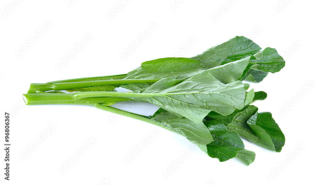 Choy Sum on White Background Choy Sum on White Background