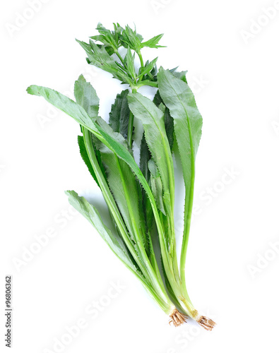Culantro , Parsley and Spring onion isolated on white background