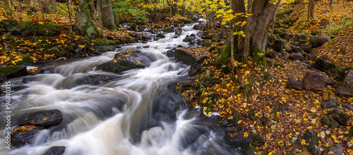 Autumn landscape with a stream and rapids, Finland, Espoo, Espoonkartano #96810315