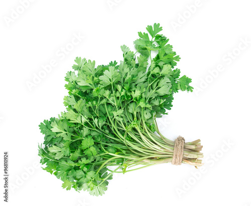 Fresh Green parsley on  white background