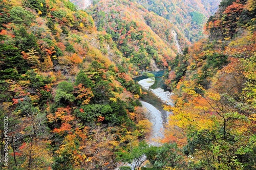 寸又峡の紅葉