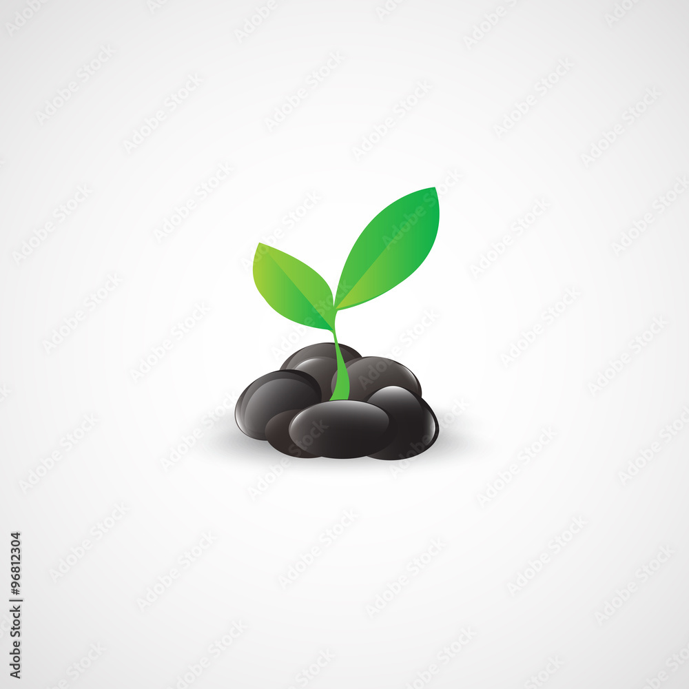Green sprout from the stones. Green sprout from the stones.