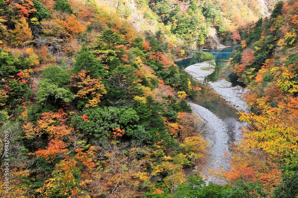 寸又峡の紅葉
