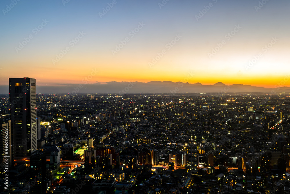 Obraz premium Tokyo city at twilight