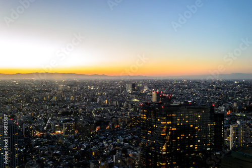 Tokyo city scape at twilight