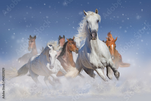 Horse herd run fast in winter snow field #96820929