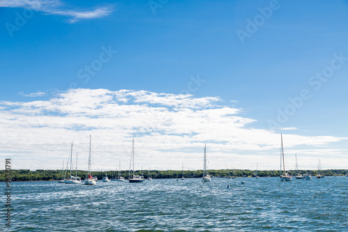 Sailboats by Green Horizon