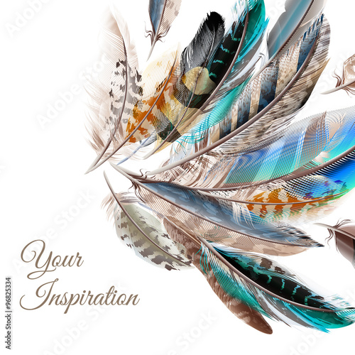 Fashion  vector background with blue white and brown  feathers i photo