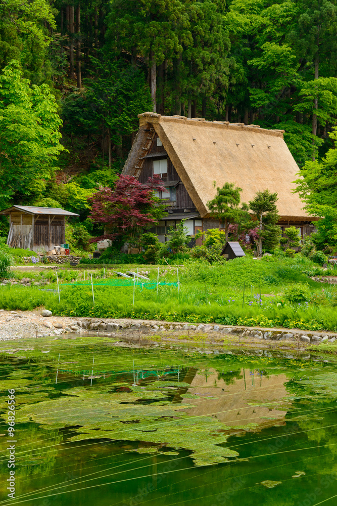 Historic Village of Shirakawa-go in spring Historic Village of Shirakawa-go in spring