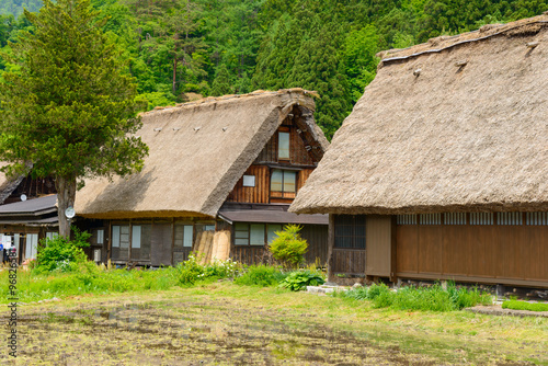 Historic Village of Shirakawa-go in spring