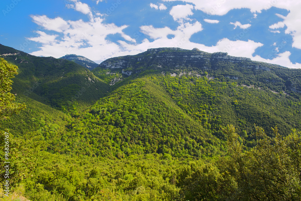 montañas con vejetacion cerca del pirineo girona