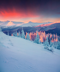 Colorful winter scene in the Carpathian mountains.