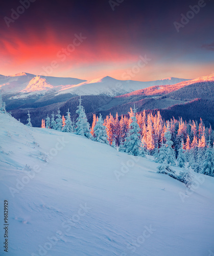 Colorful winter scene in the Carpathian mountains.