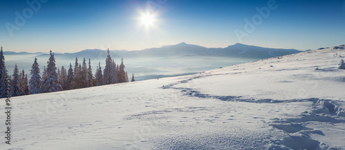 Sunny winter panorama of Carpathian mountains #96829951