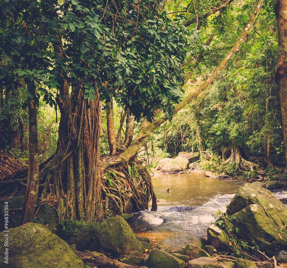 Fototapeta premium Thousand lingas river. Angkor. Siem Reap. Cambodia