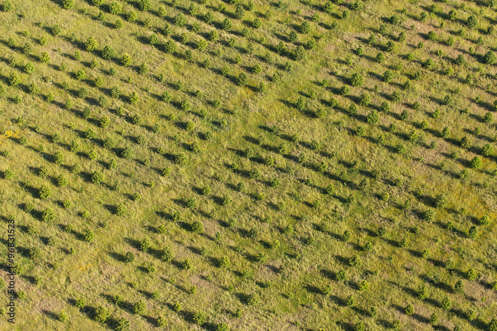 aerial view of the green harvest fields