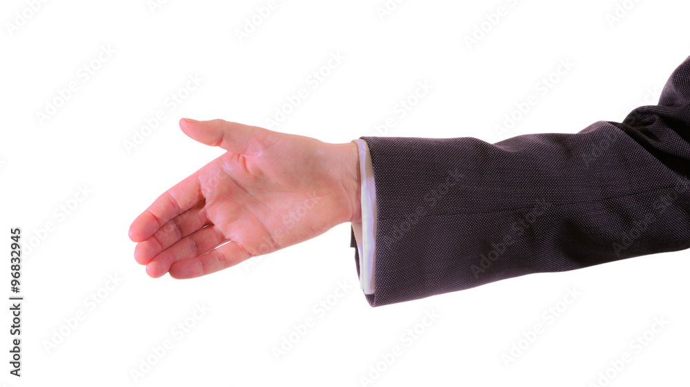 Handshake - Business man in suit Handshake - Business man in suit
