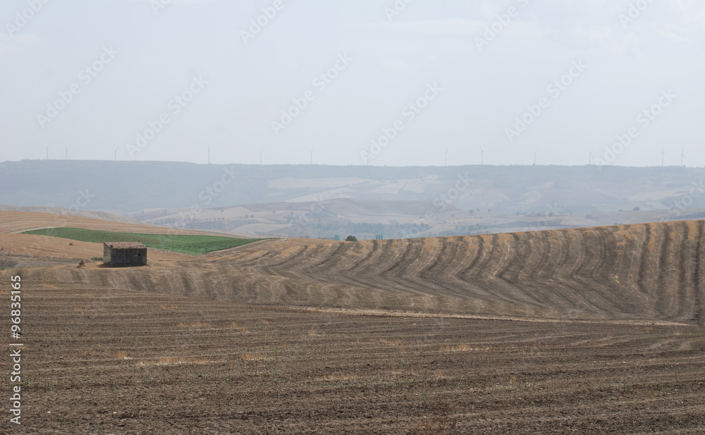 Obraz premium Dry Pugliese Landscape