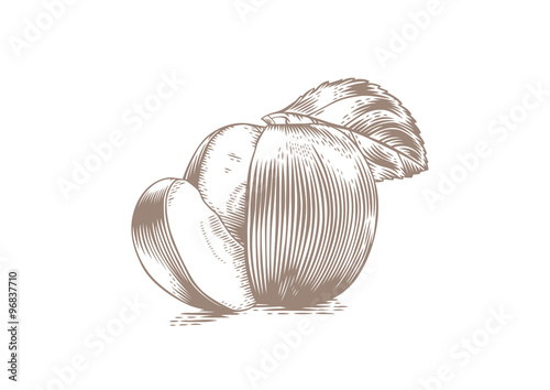 Green apple with segment and leaf