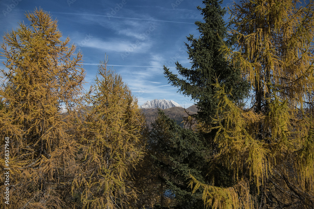 Autunno sulle Alpi Carniche. Monte Zoncolan