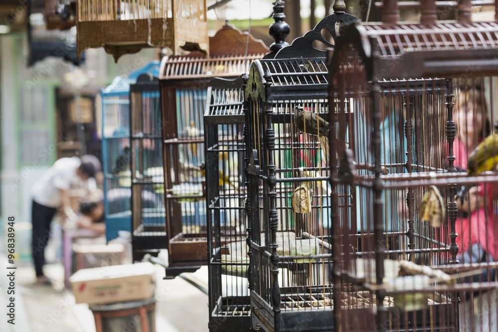 Colorful cages for sale at the bird market in Yogyakarta, Java,