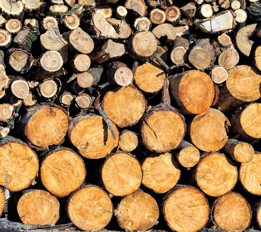 Cutting wood is arrange to be the natural wall at farm in Thailand