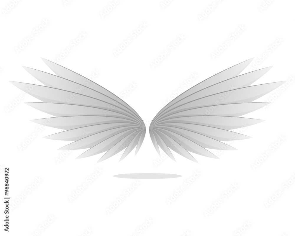 Obraz premium Perfect Wings