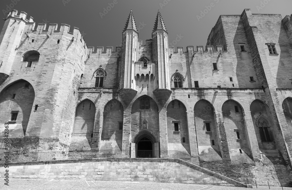 Fototapeta premium Avignon (Provence, France)