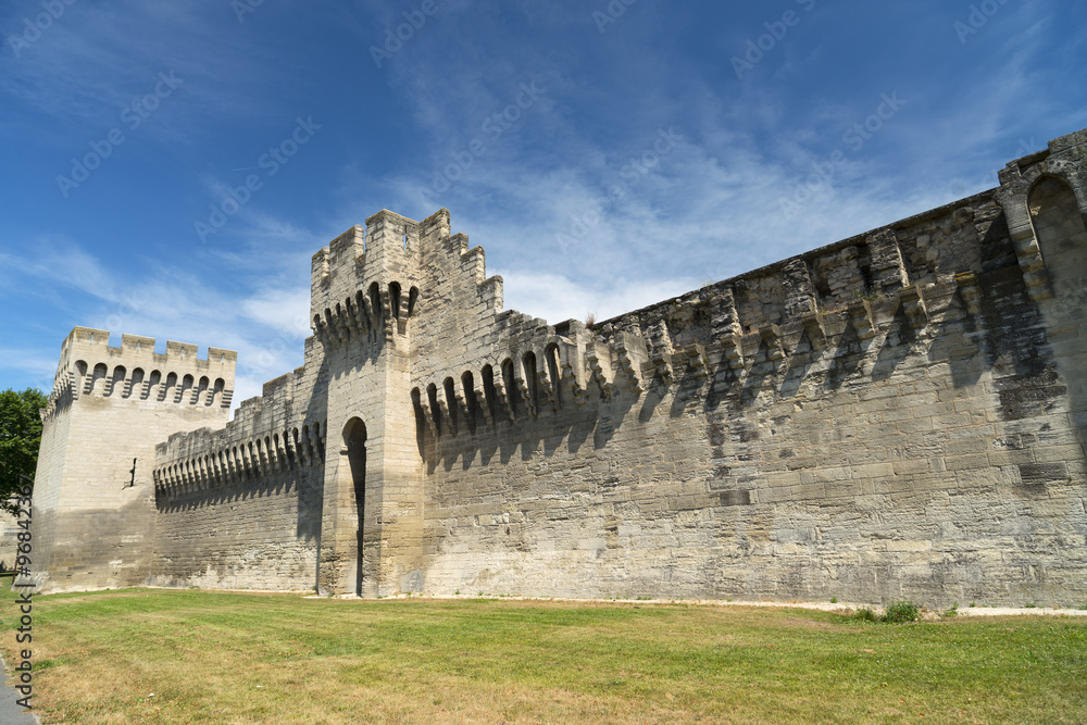 Obraz premium Avignon (Provence, France)