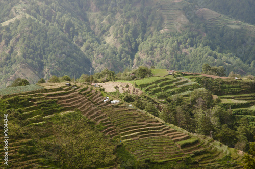 Agricultural Terraces - Luzon - Philippines