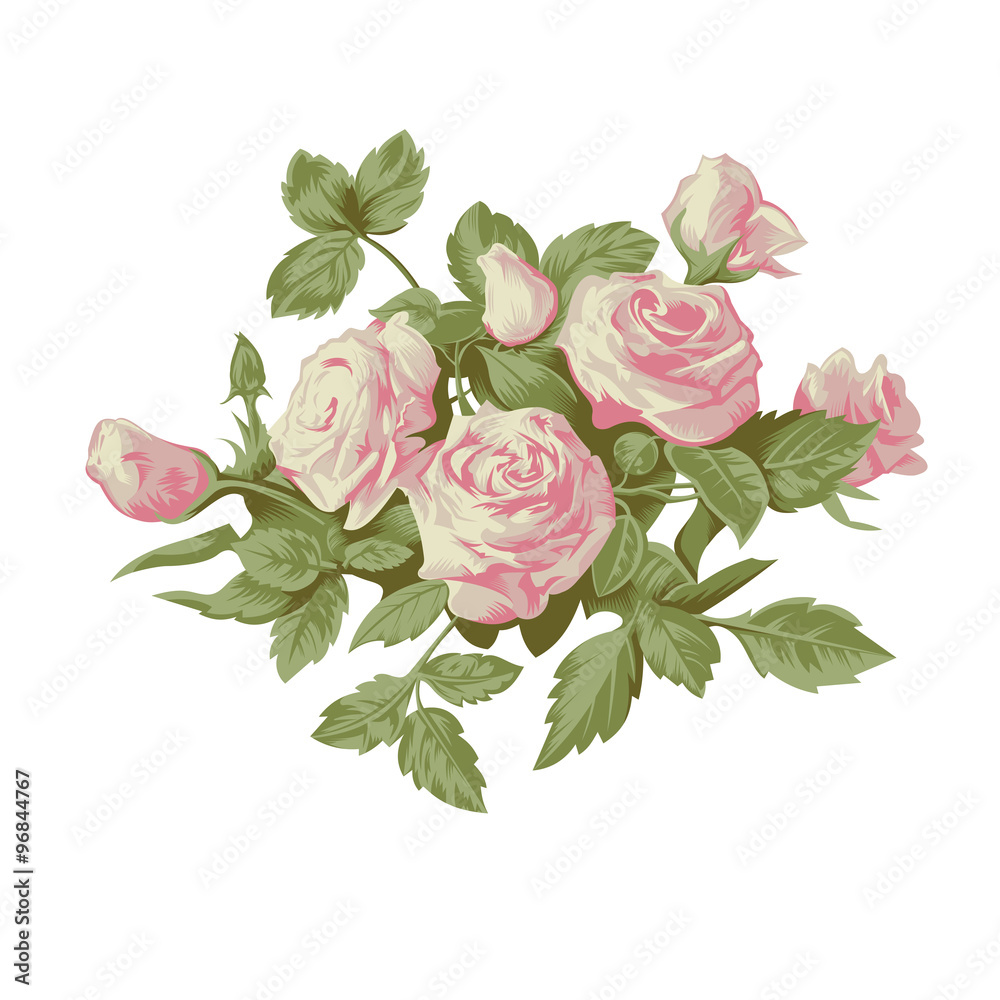 Vector pink roses in vintage style for design Stock Vector | Adobe Stock
