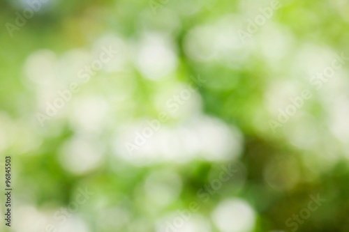 Fototapeta bokeh
