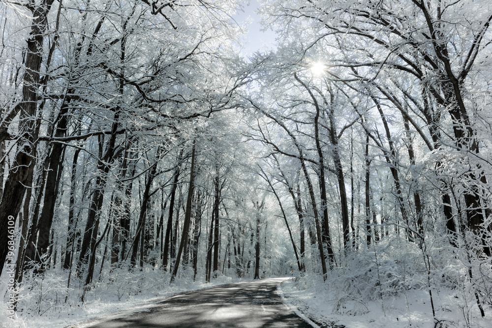 Snowy Winter Road Scene Snowy Winter Road Scene