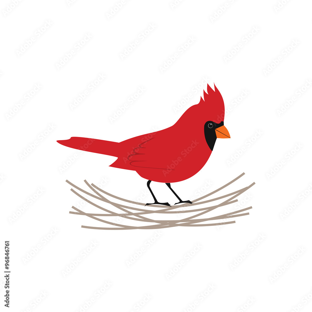 Cardinal bird in the nest Cardinal bird in the nest