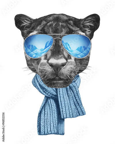 Portrait of Panther with mirror sunglasses and scarf. Hand drawn illustration.