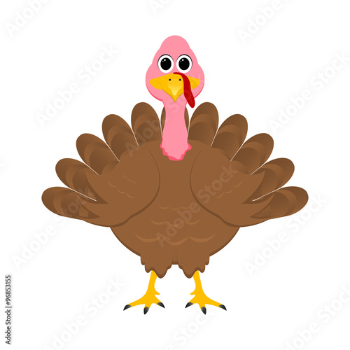 Holiday turkey on Thanksgiving Day