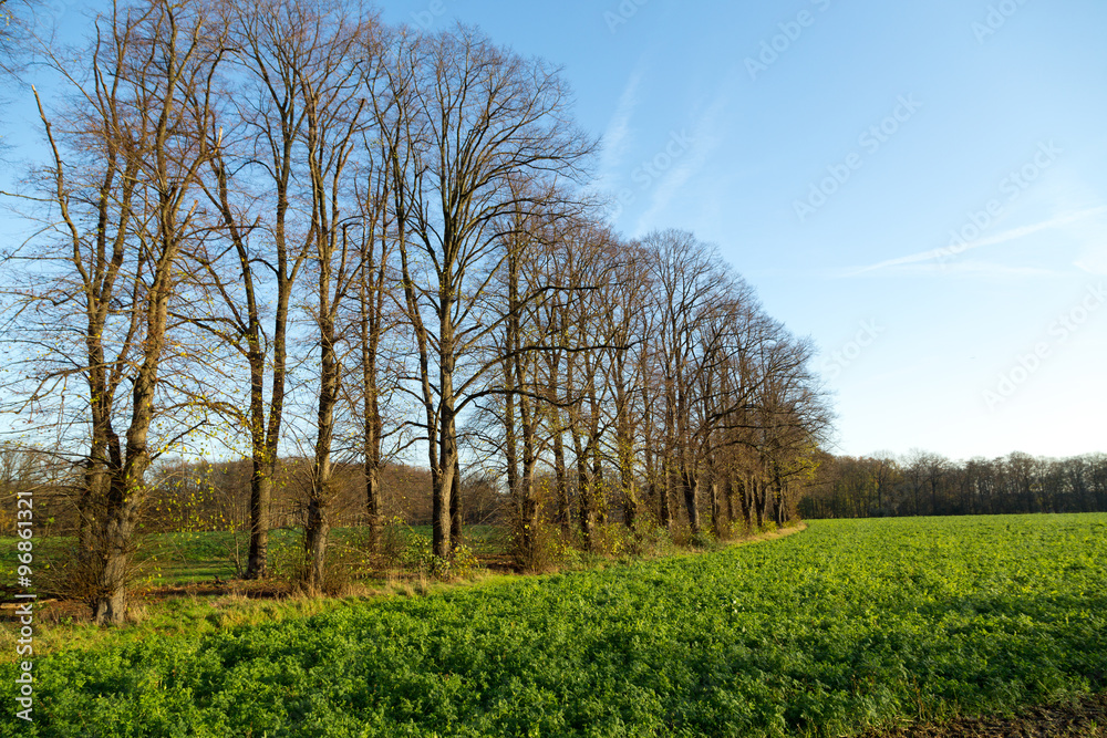 Herbstliche Landschaft Herbstliche Landschaft