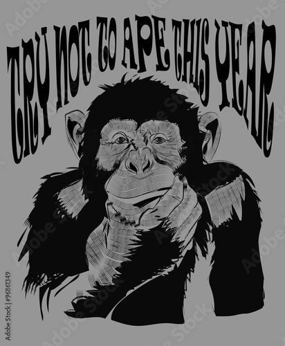 monkey vector drawing design poster card new year