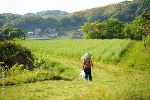 Fotografie farmworking person in rural area - 田舎の集落で農作業・畑仕事をする高齢者