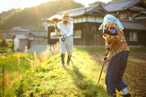 mowing persons in rural area - 地方の農家で草刈りをする高齢者夫婦