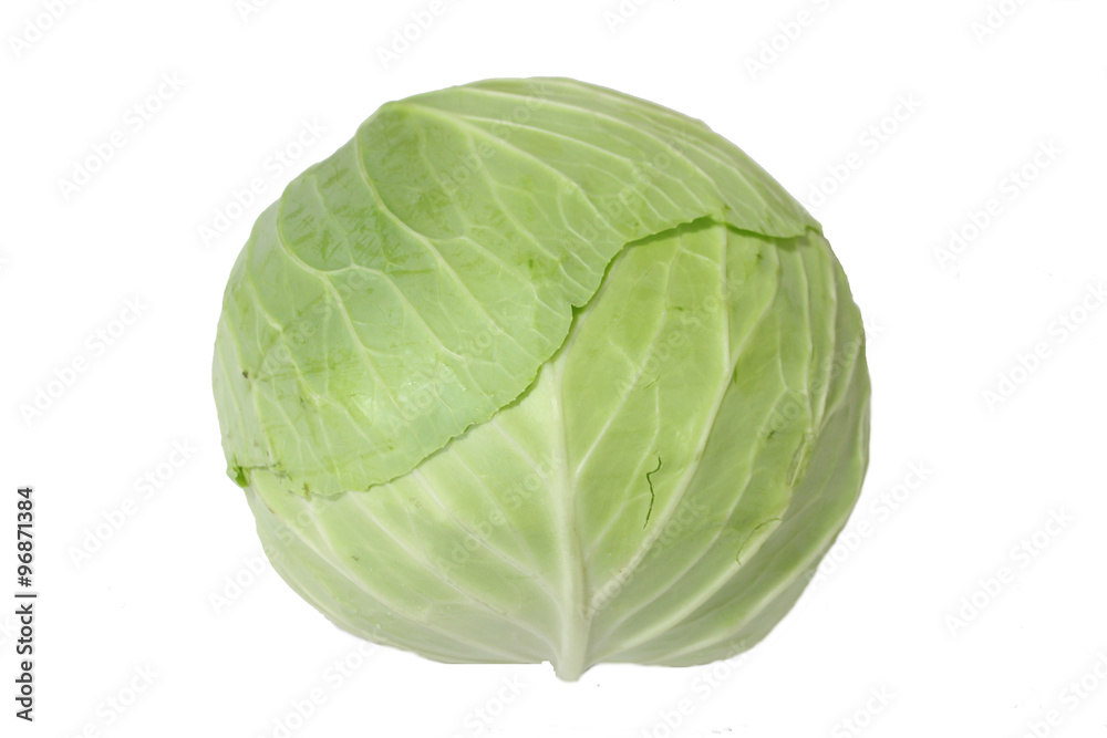 Cabbage Cabbage