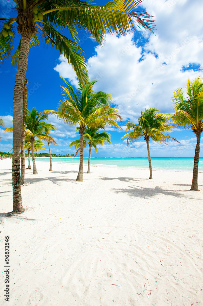  tropical beach