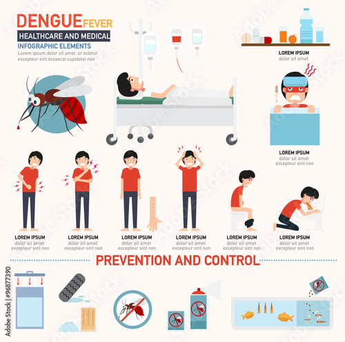 Dengue fever infographics photo