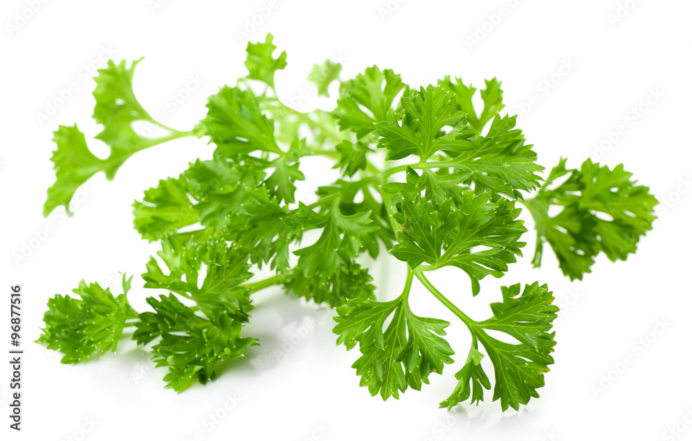 Fresh parsley isolated on white Fresh parsley isolated on white
