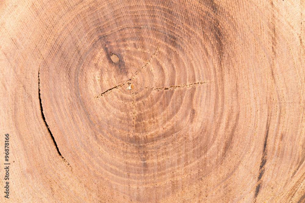 Naklejka premium Wooden texture