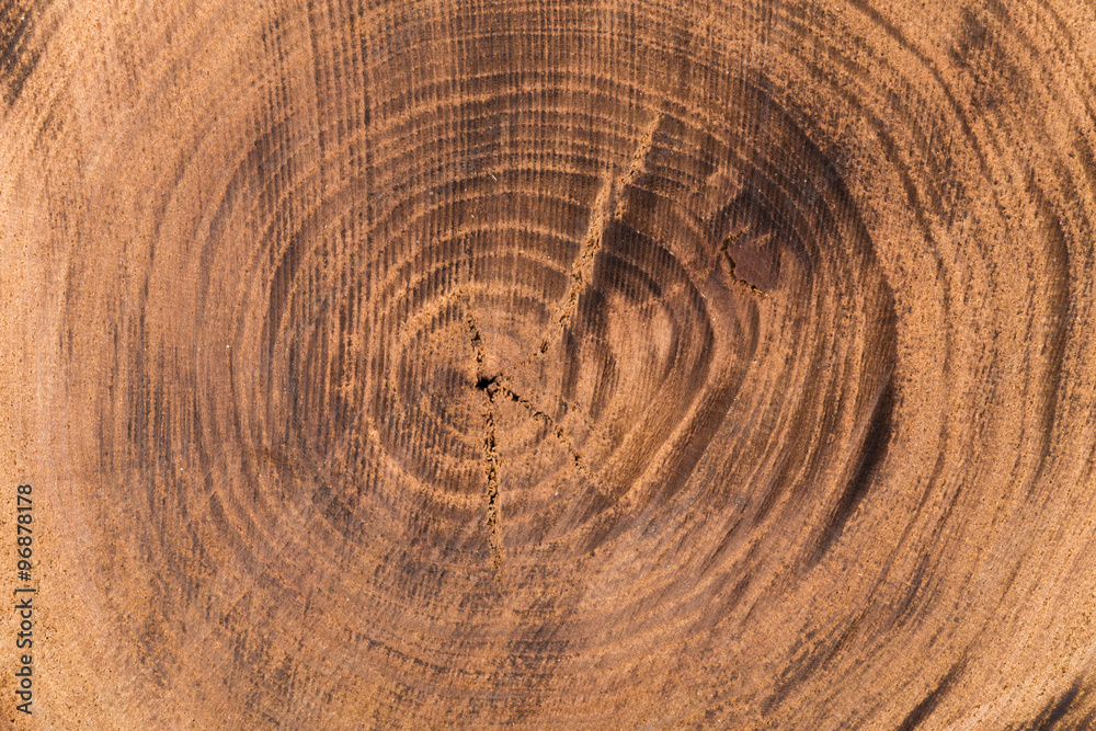 Naklejka premium Wooden texture